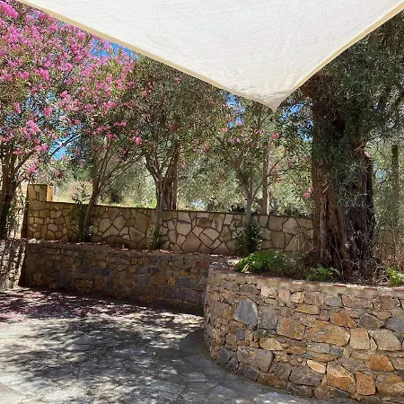 Agia Paraskevi Villa Olive Makri Exterior photo