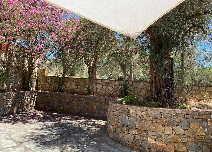 Agia Paraskevi Villa Olive