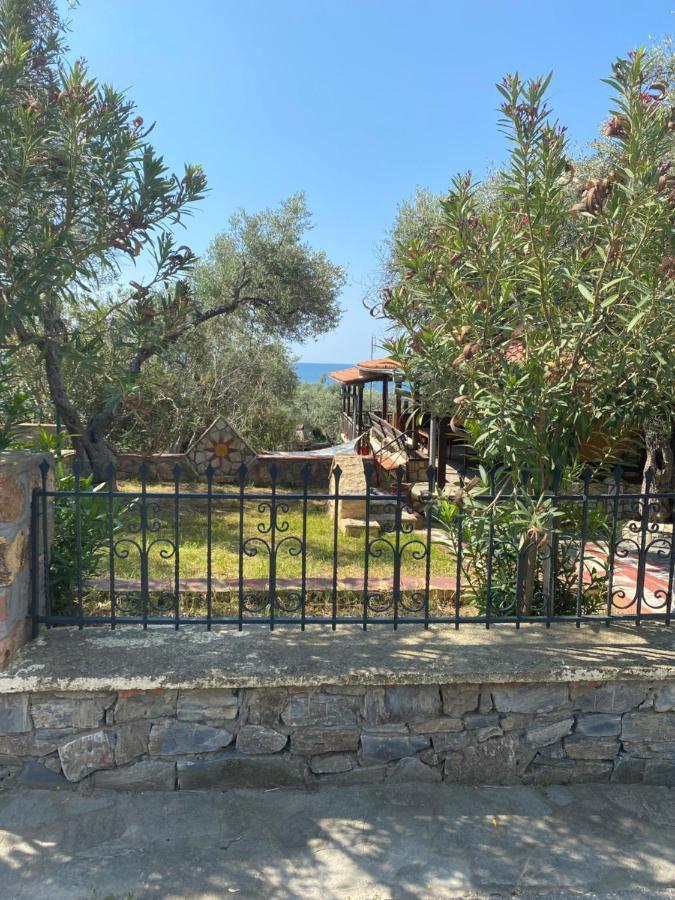 Agia Paraskevi Olive Holiday home *
