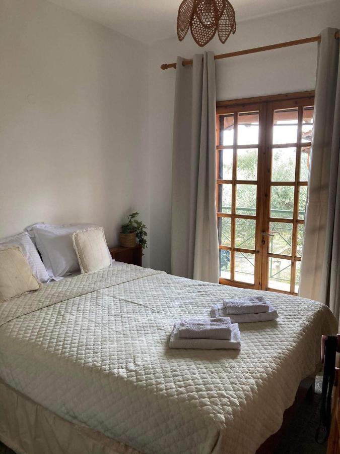 Agia Paraskevi Olive
