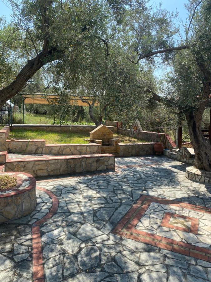 Agia Paraskevi Olive *