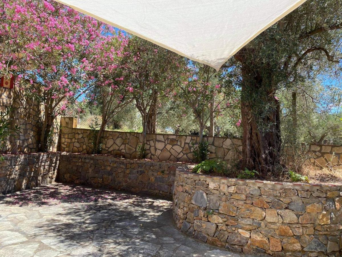 Agia Paraskevi Olive Holiday home *